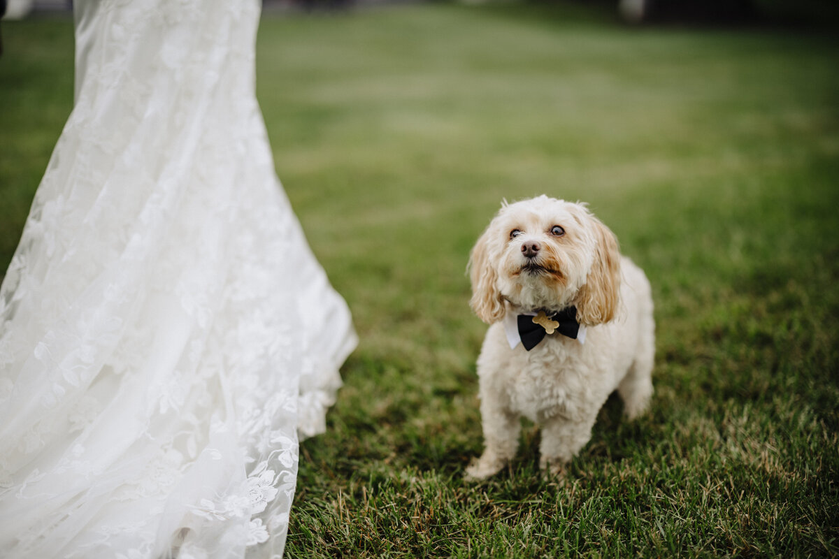 Annaliese+Luis-Dani-and-Jonathan-Wedding-Photography-82