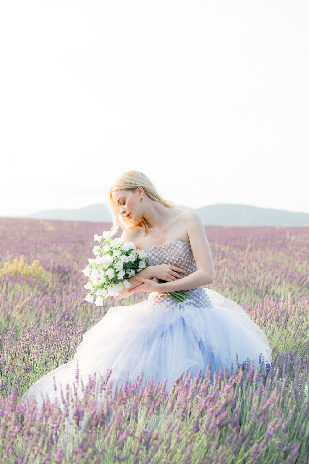 IRP-LavenderFields2024-22edit