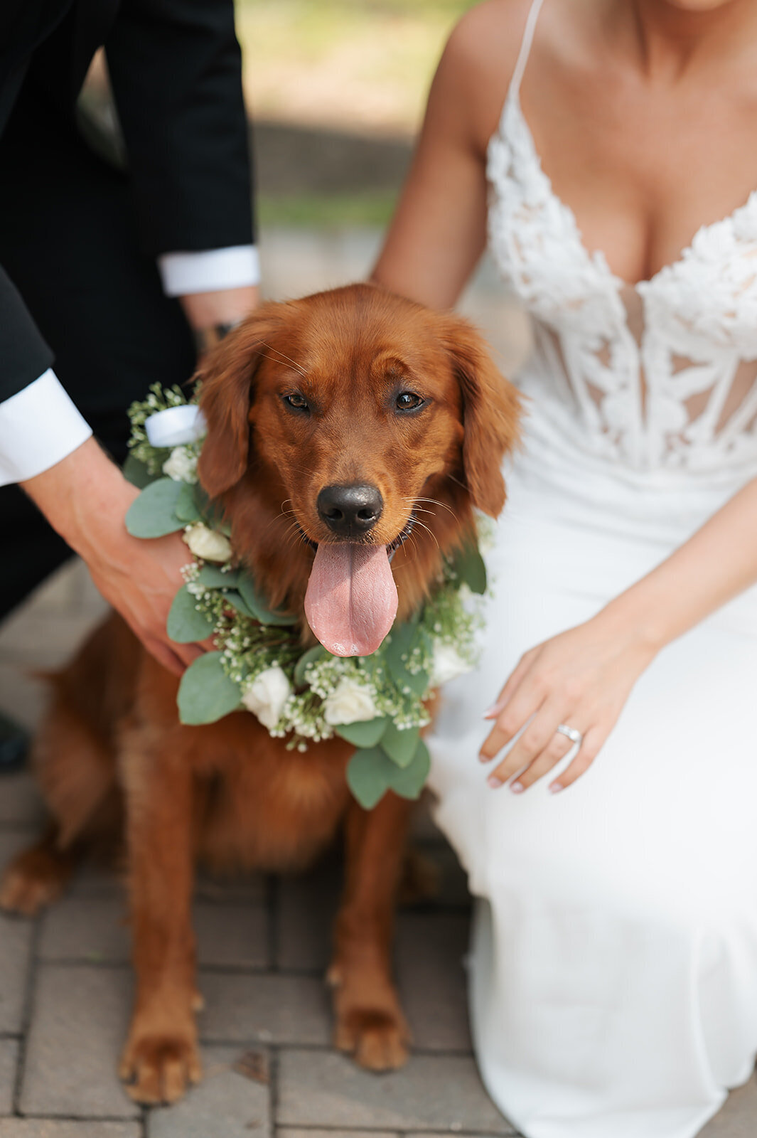 STARKEYWEDDING_CouplePortraits_0541_websize