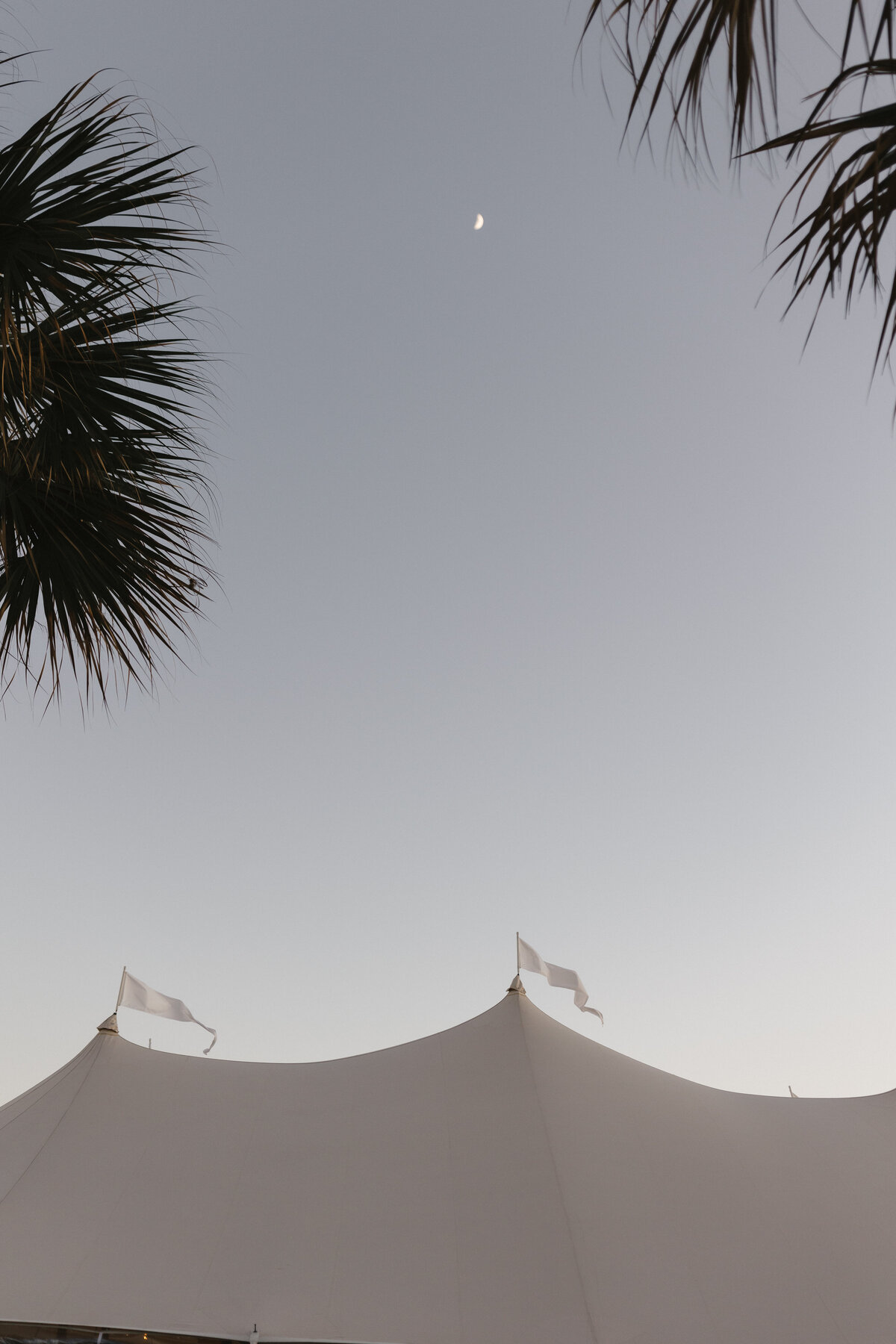 Palm Beach Jupiter Vero Beach wedding planner wedding design wedding coordination Florida wedding full service wedding planner full service wedding management South Florida wedding colorful wedding design partial wedding johns island 33