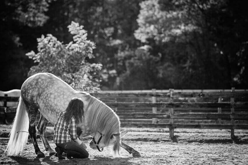equestrian-horse-portraiture-photography-saratoga-ny-28