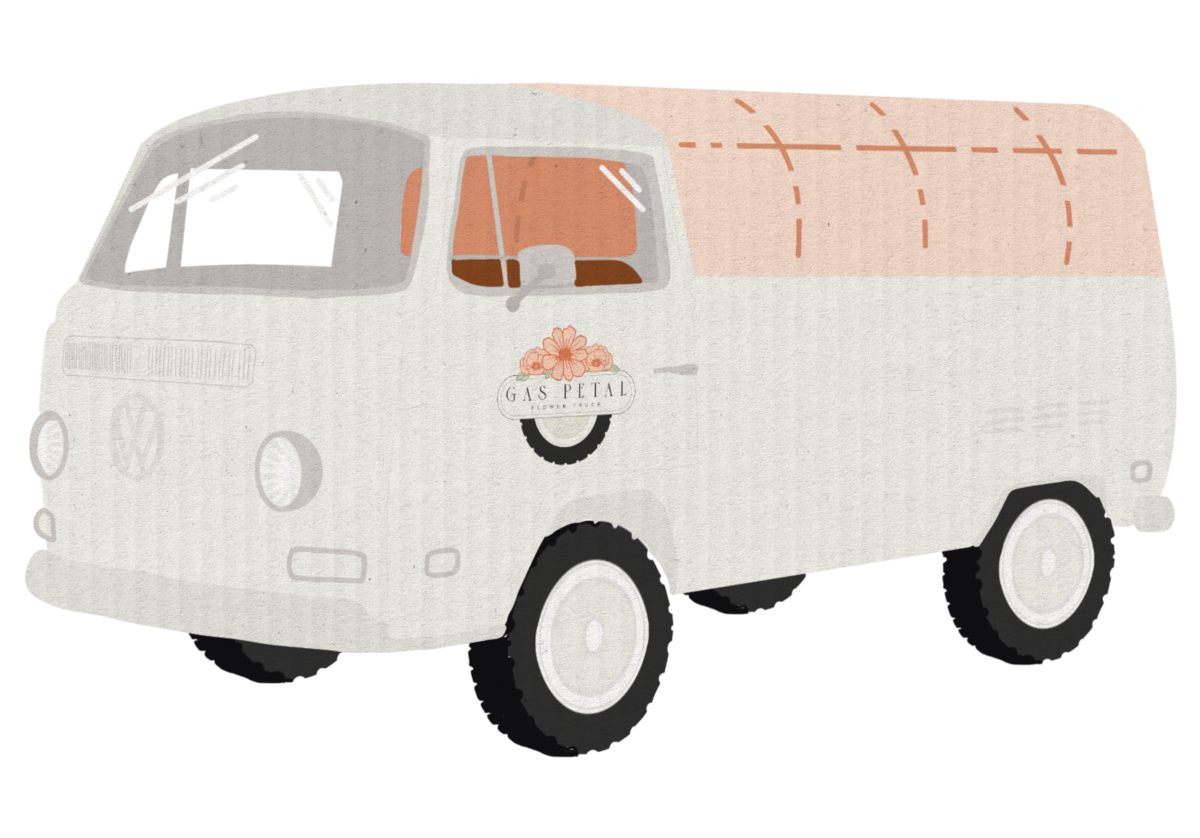 Unboxing_Rough_1