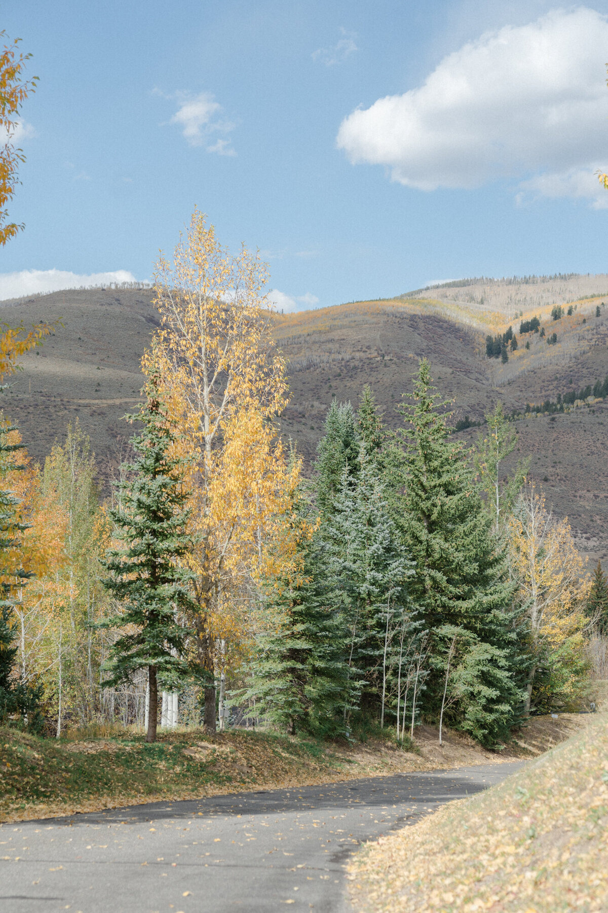 Beaver_Creek_Intimate_Wedding_MaryAnnCraddockPhotography_0010