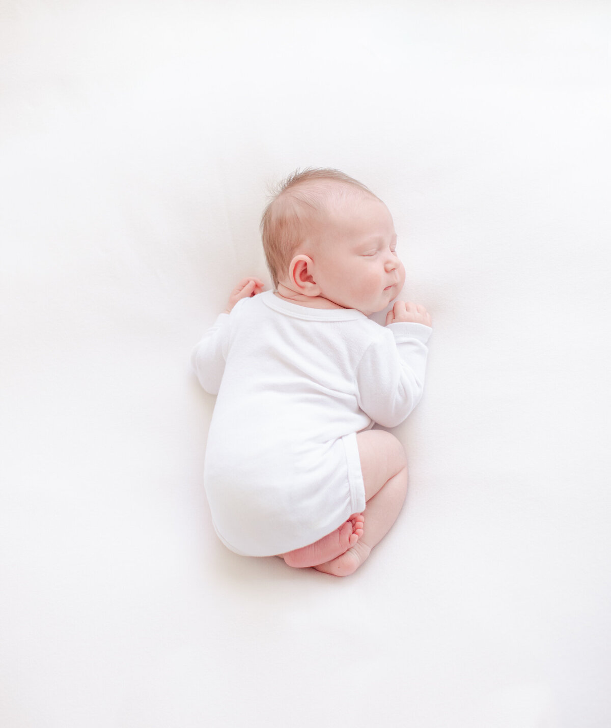 boston newborn photography-1