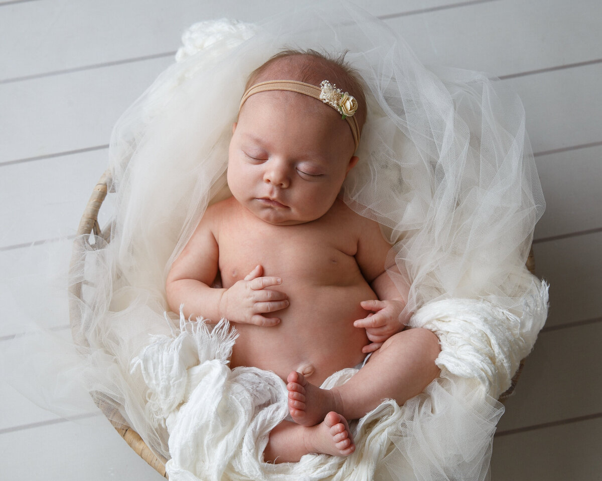 Newborn baby girl laying in a basket with white tulle
