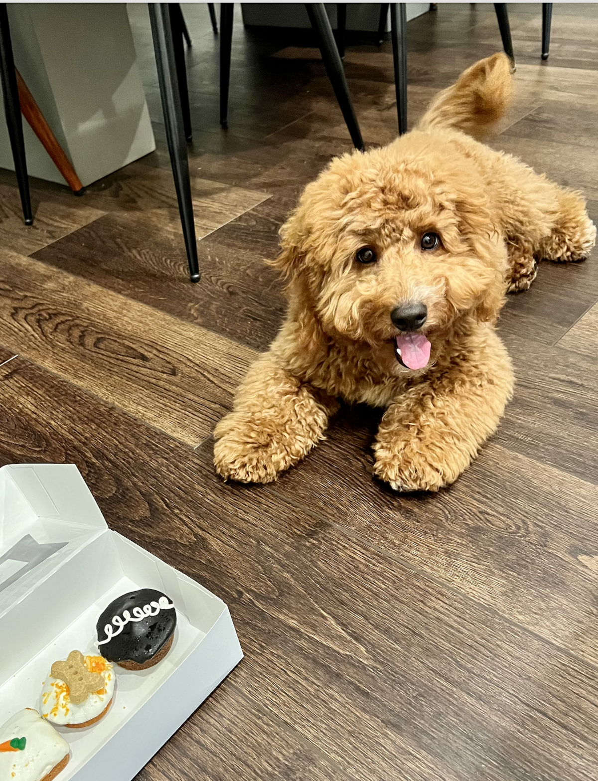 Screenshot 2024-08-27 at 12.30.43 PM