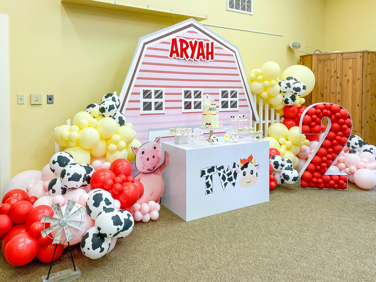 ARYAH-IMG_8434