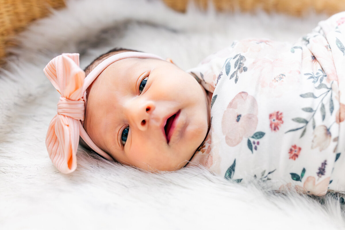 bay-area-newborn-photographer-3