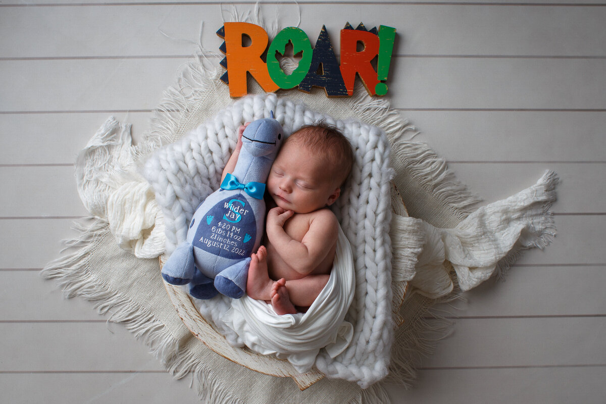 Portrait of a newborn baby cradled in a basket with a blue stuffed dinosaur