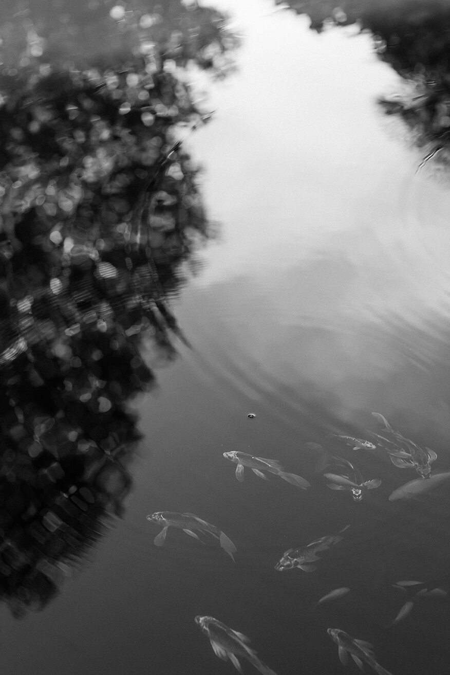 Sarah Bradshaw Editorial & Commercial photograph 0011