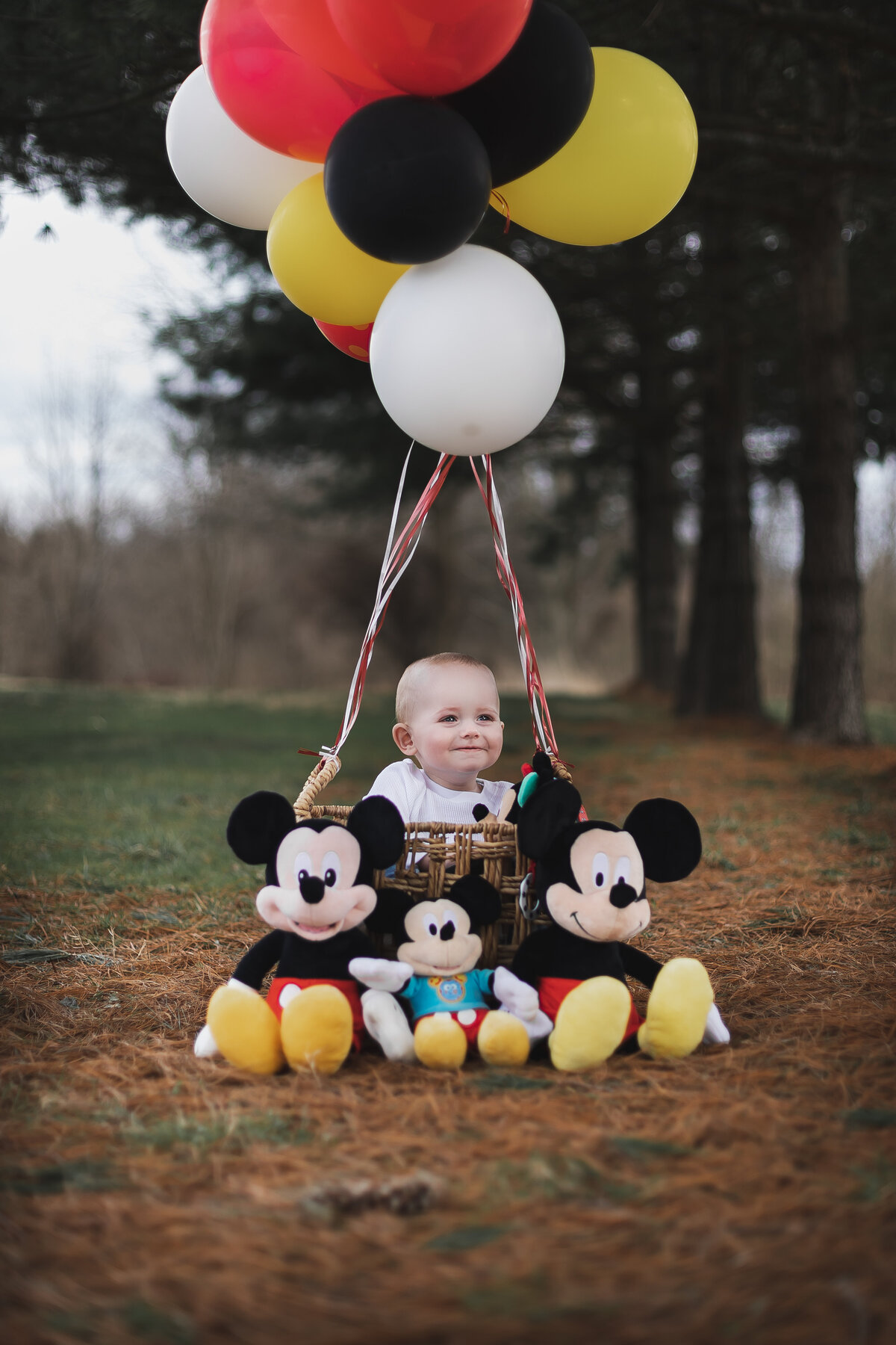 Mickey-birthday-kids-Ohio, akron, kids, family photography