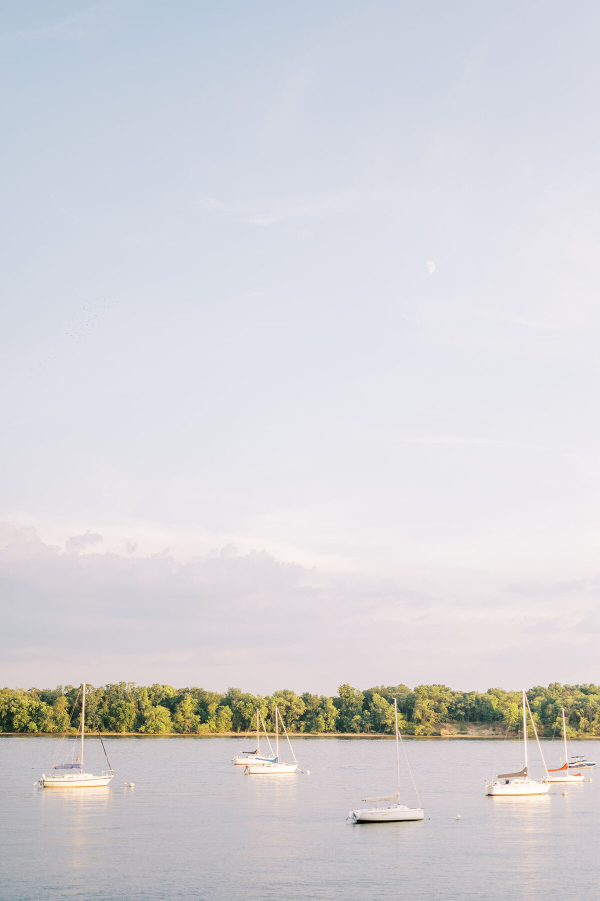 jaclyn-fisher-events-planning-romantic-riverfront-garden-wedding-in-philadelphia-68