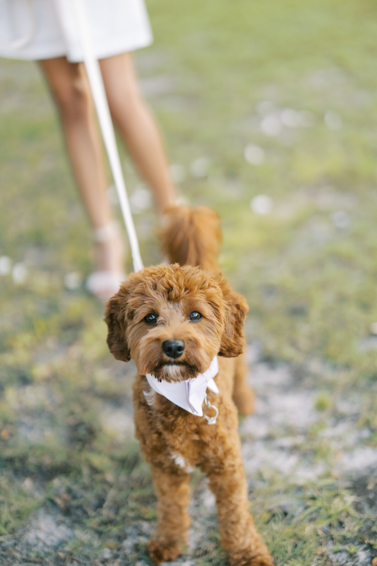 Maria & Tod Film Page Image 6