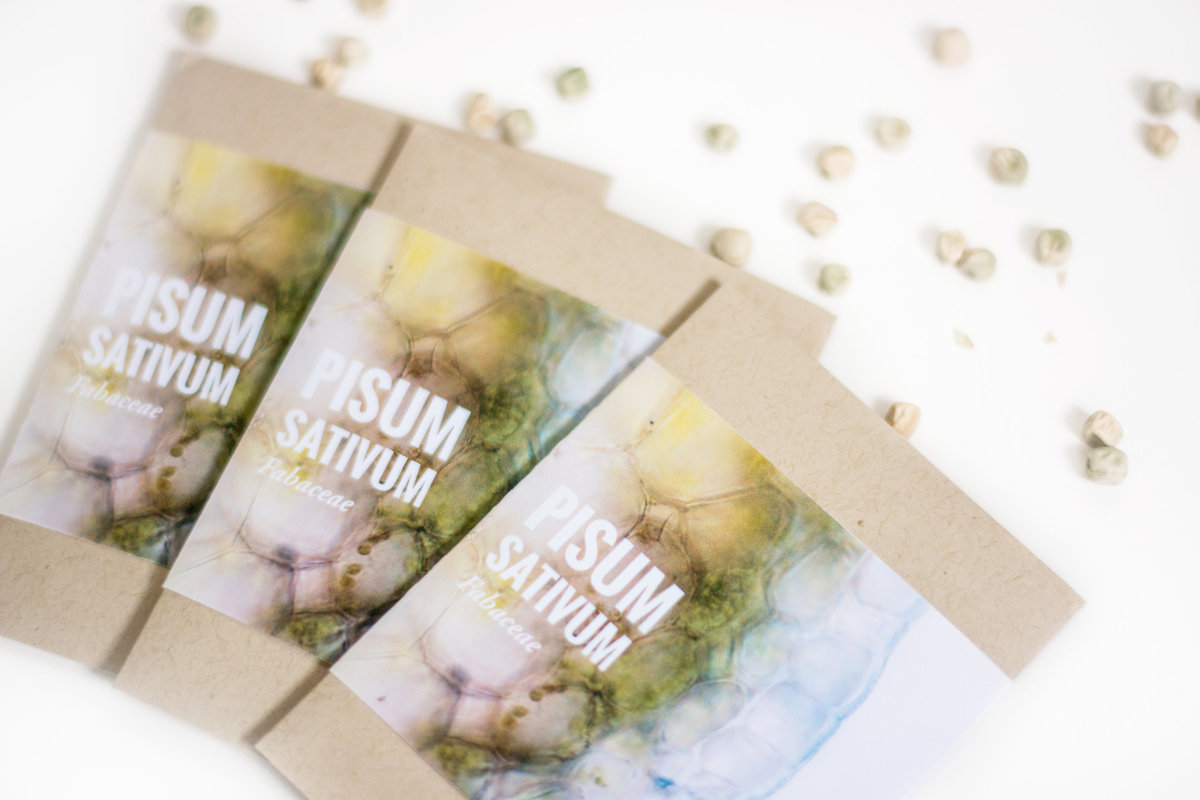 seeds2