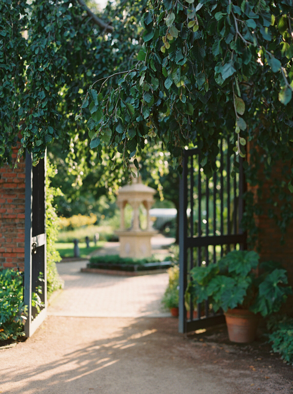 Summer Chicago Botanic Gardens Wedding Highlights | Amarachi Ikeji Photography 45