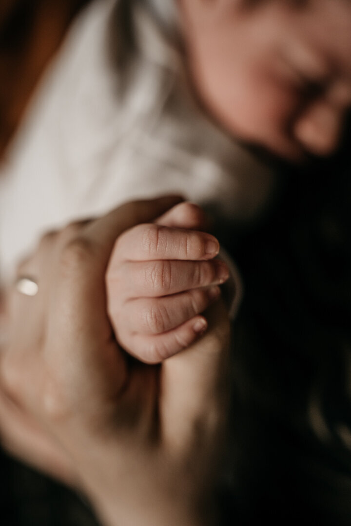 Newbornfotografie5