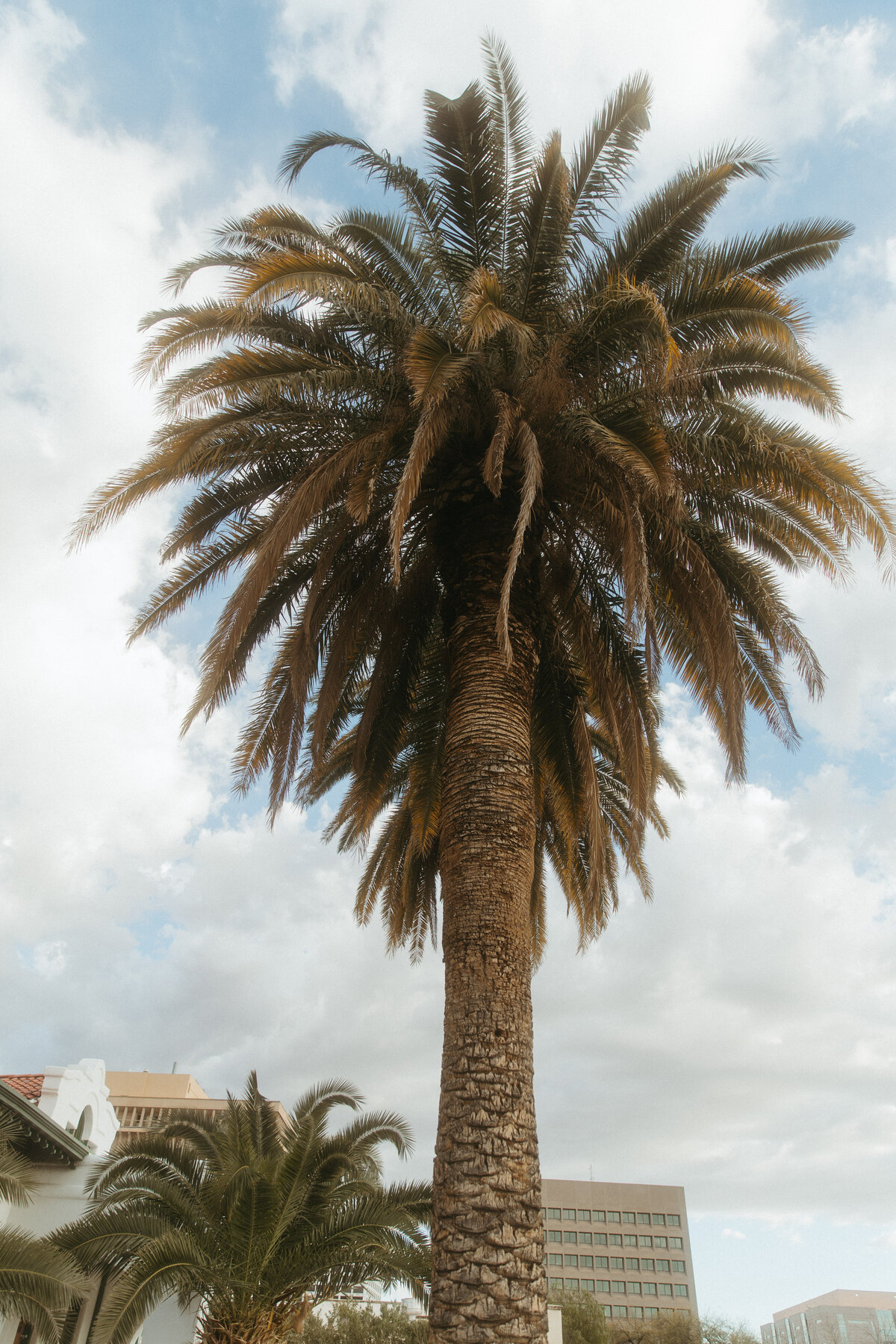 SyriaSanchezPhotos-7788