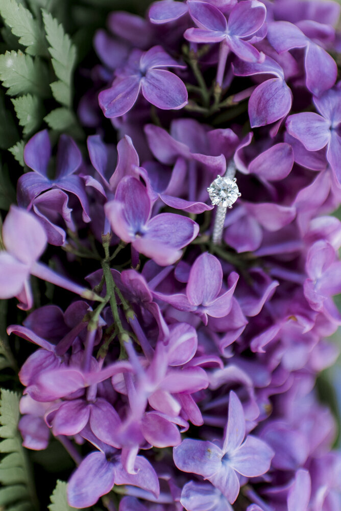close shot of engagement ring among purple flowers