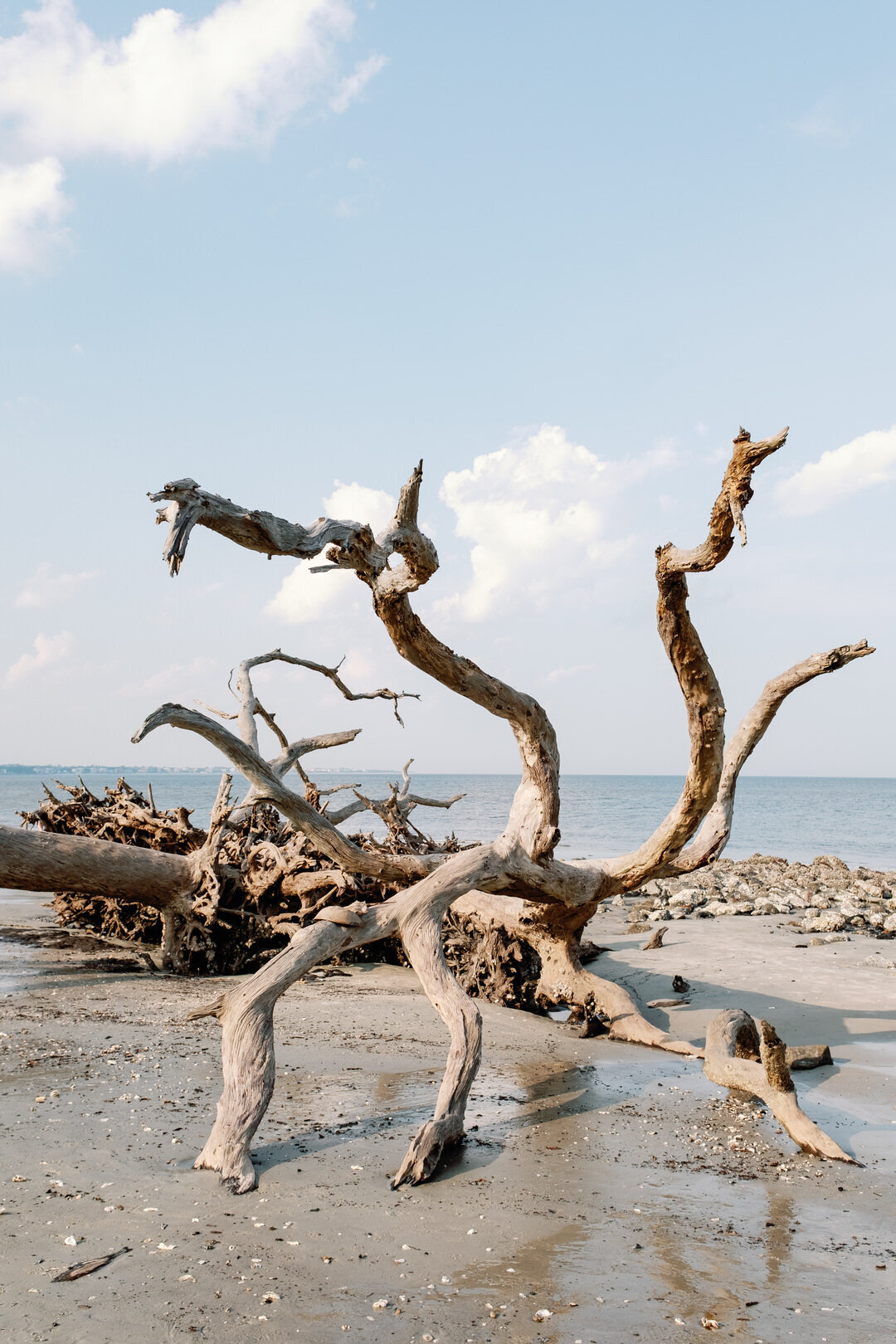 Jekyll-Island-Club-Wedding-0006