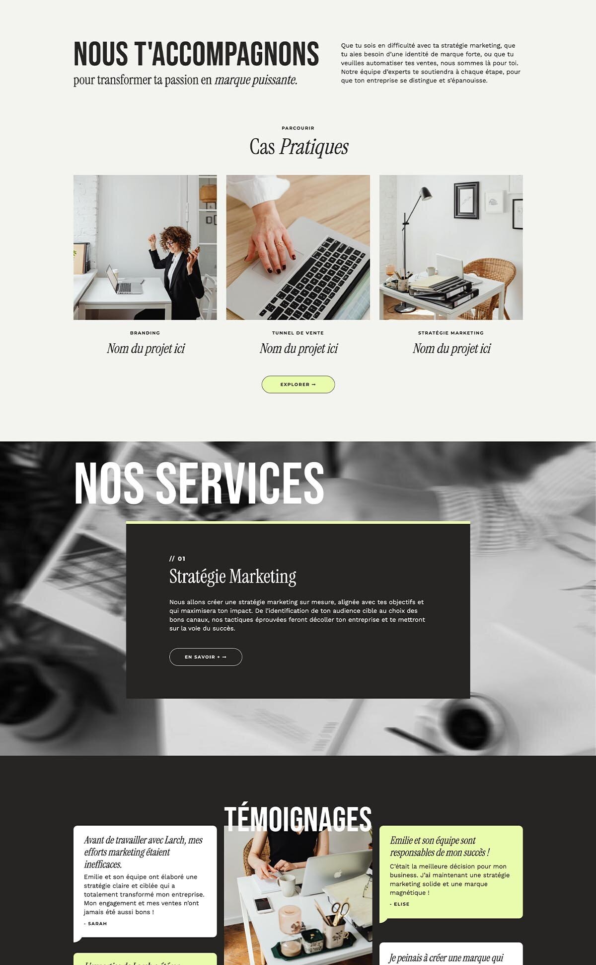 larch-aspen-creative-template-showit-3