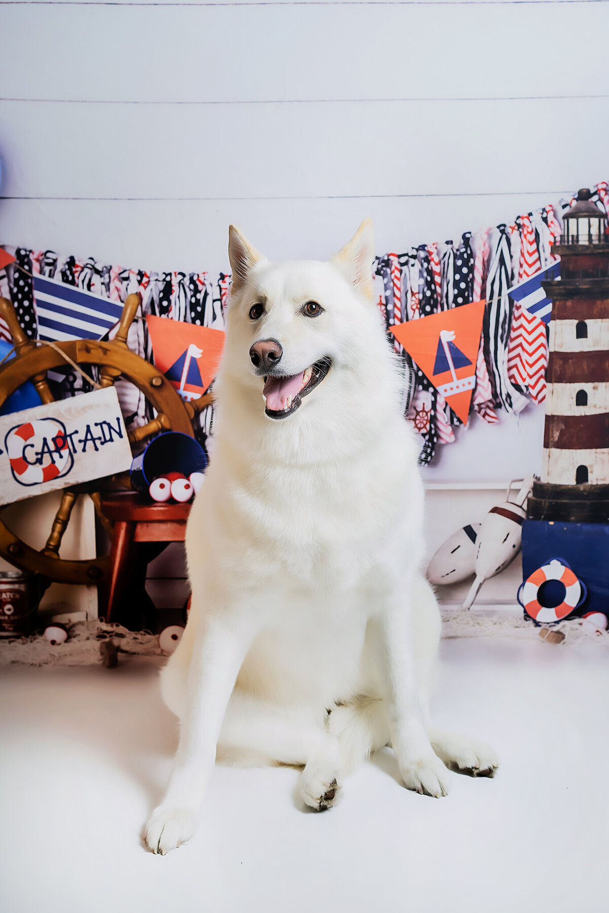 New Orleans Pet Photographer 64