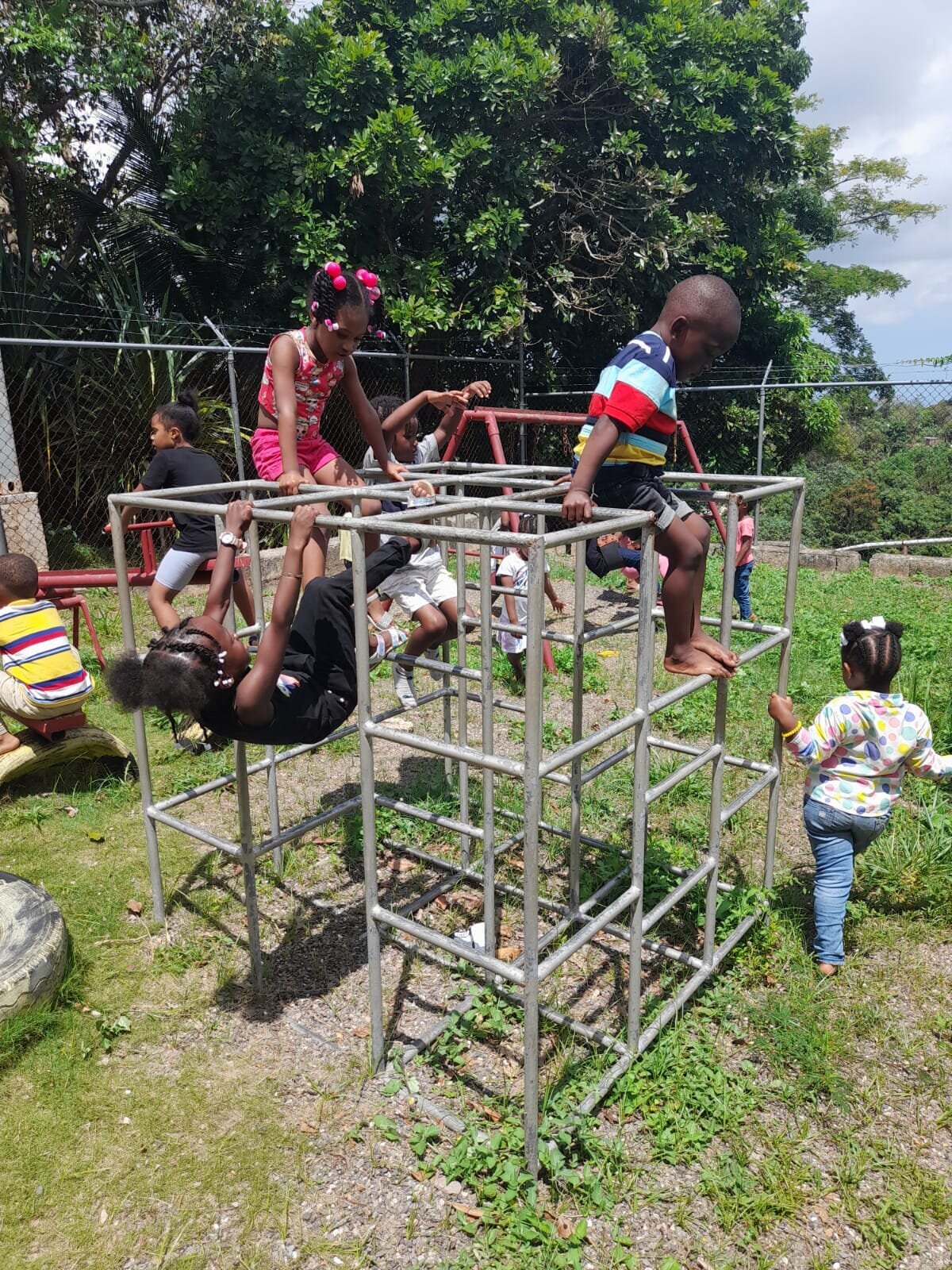 Rocksteady University Charity Jamaica 4