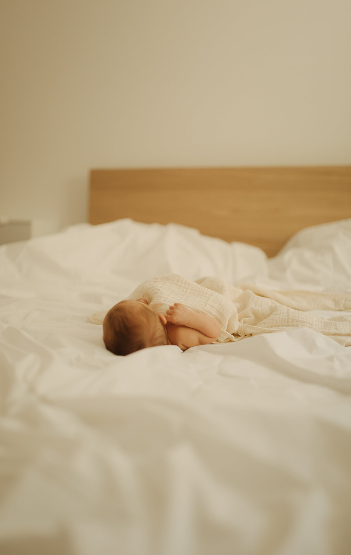 baby-2759