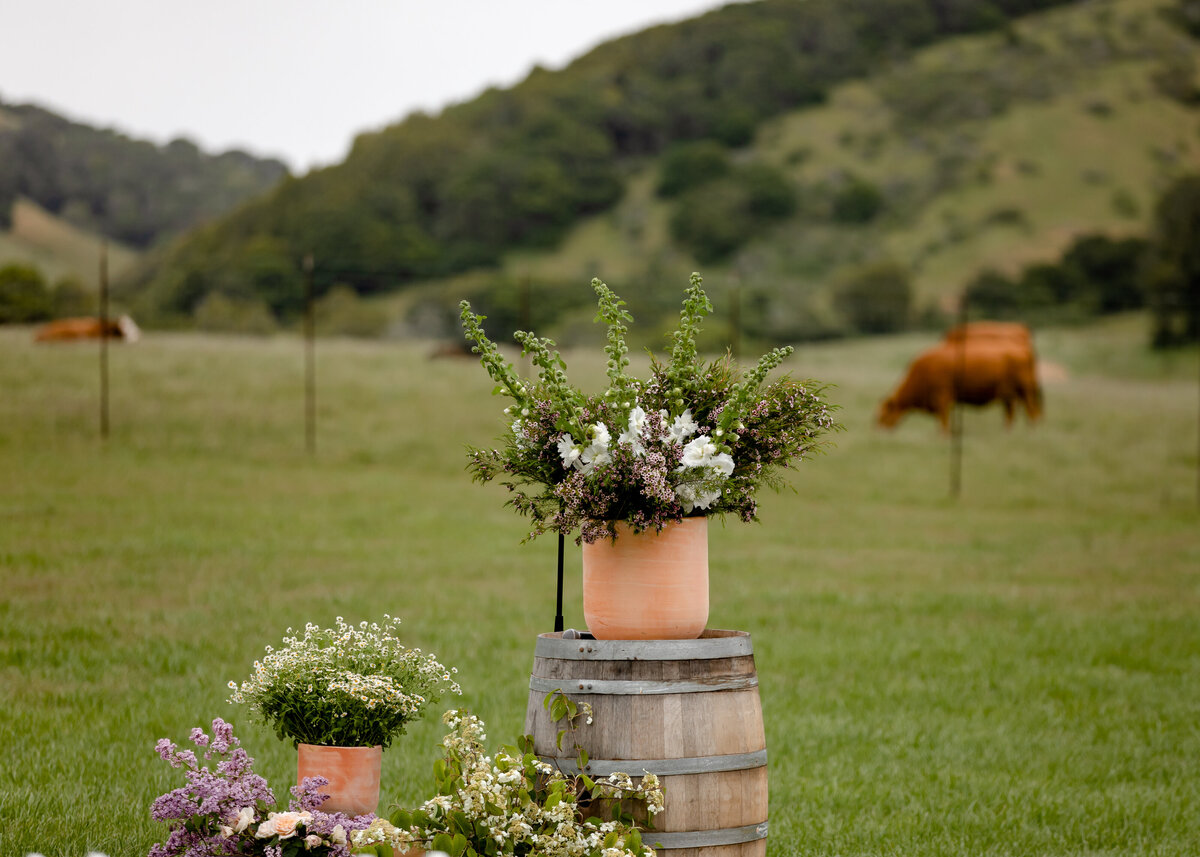 05202023_MaryBeth+AlekWedding_PetalumaCA_AnjaJensenPhotography-579