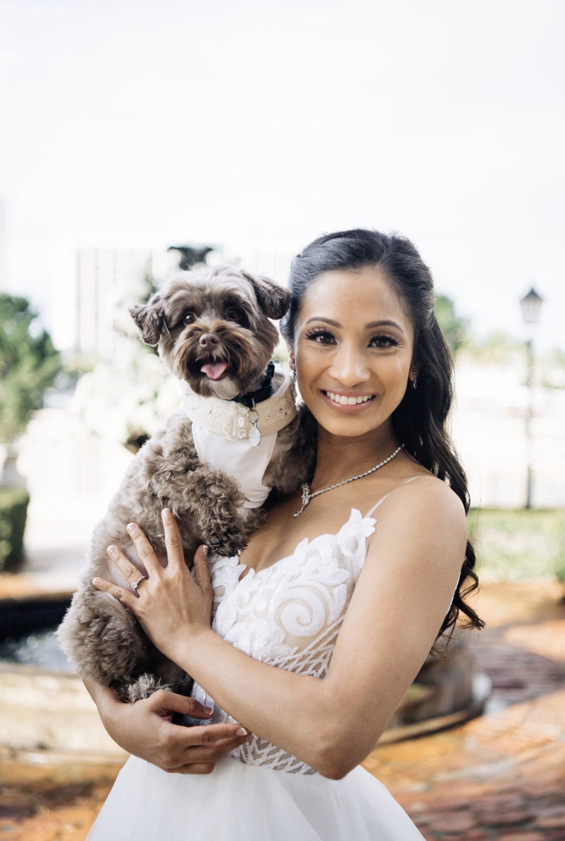dog_in_wedding_Furry_Ventures_Pet_Care