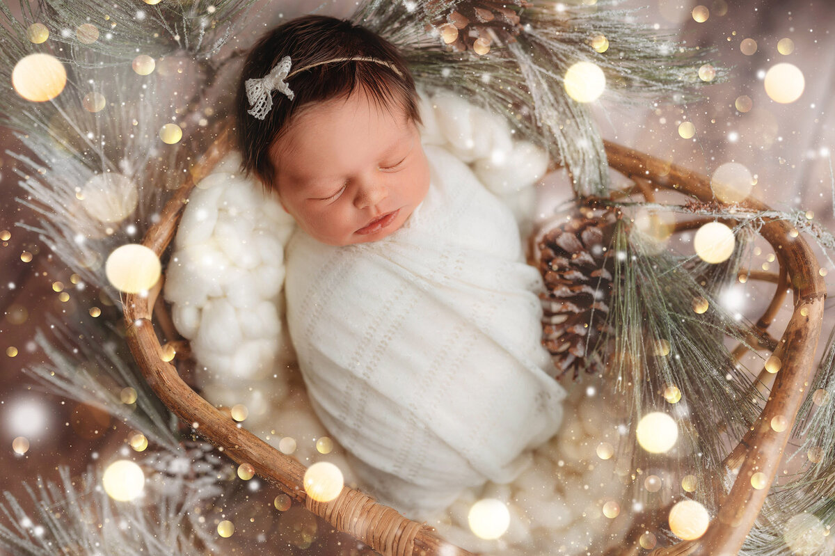 Baby posed for Studio Newborn Session in Charleston.