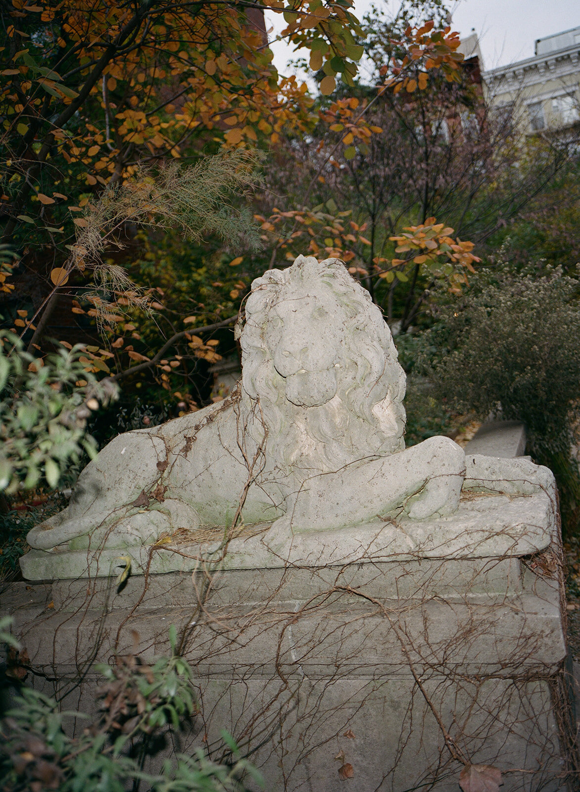 kodak_professional_portra_400_12_09_2024_000419000016_websize