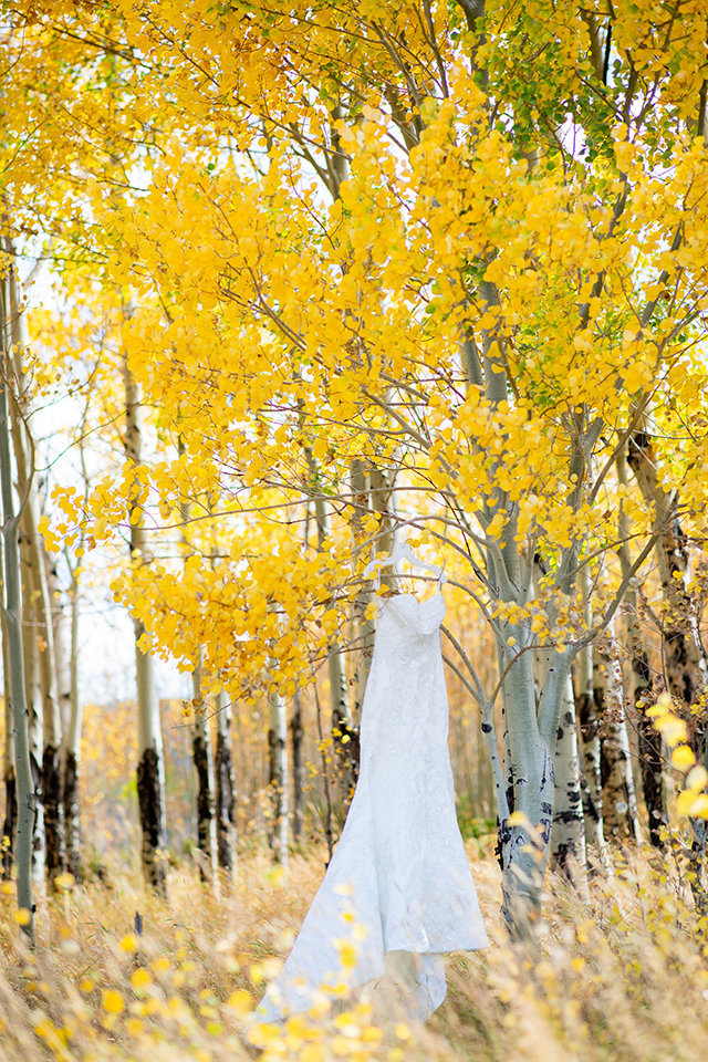 granby-colorado-Strawberry-Creek-Ranch-Wedding-Ashley-McKenzie-Photography-tropic-meets-mountain-wedding-colorful-yellow-aspen-trees-with-wedding-dress