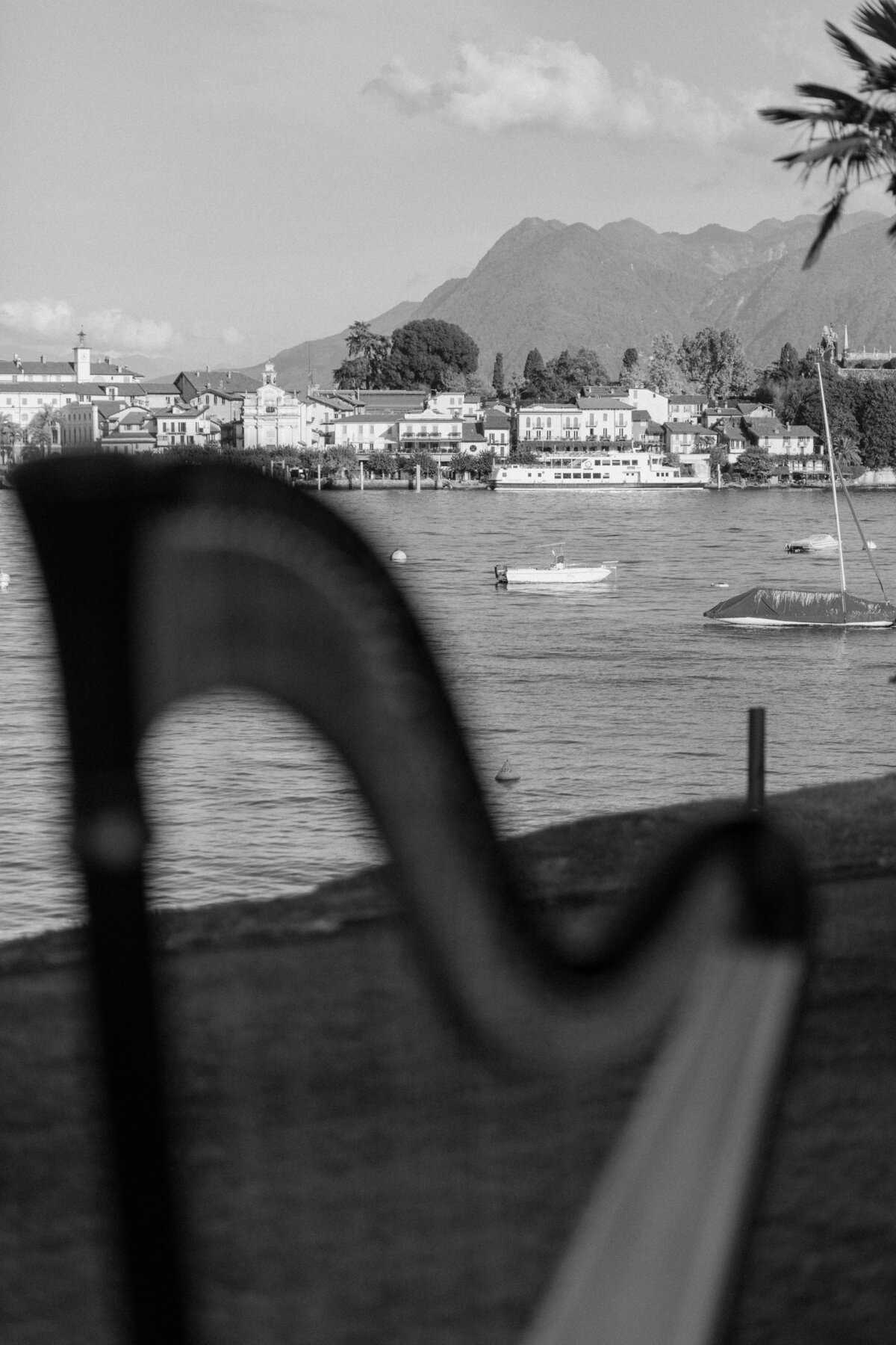 LizSchneiderPhoto-9482-2