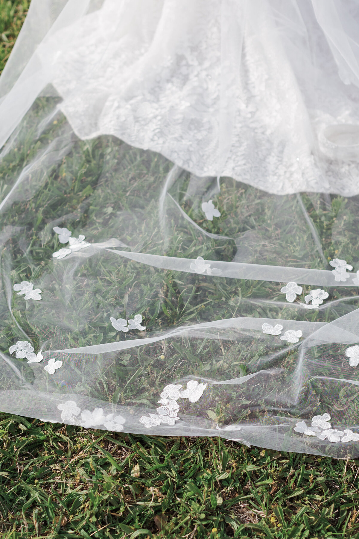 BokelmanWedding-NewlywedPortraits-43