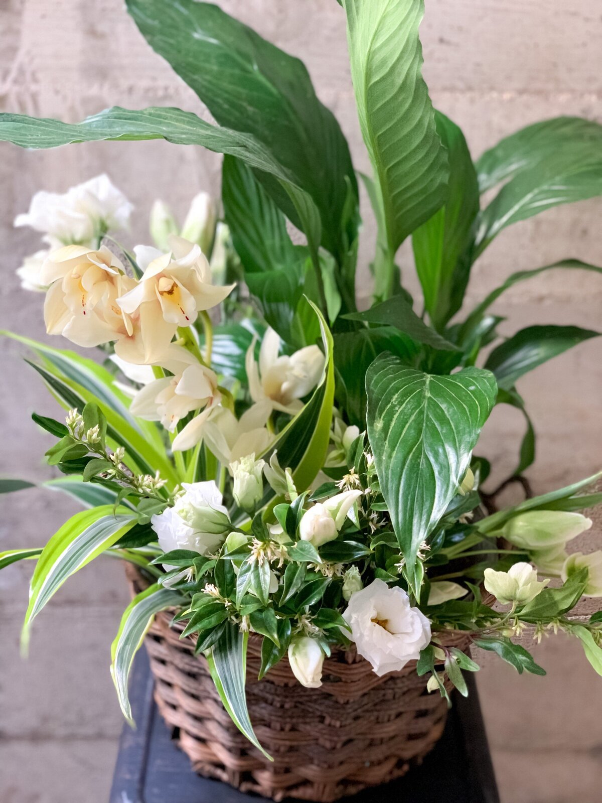 sympathy arrangement basket