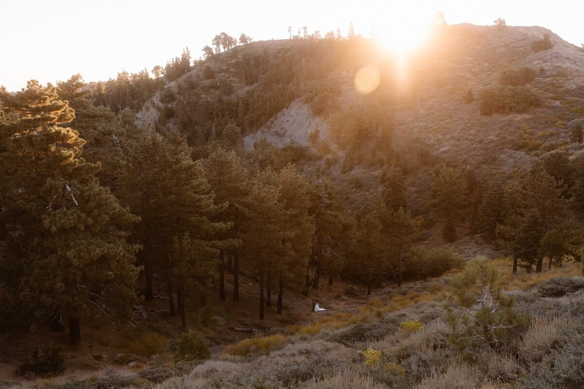 Angeles-National-Forest-Elopement-1