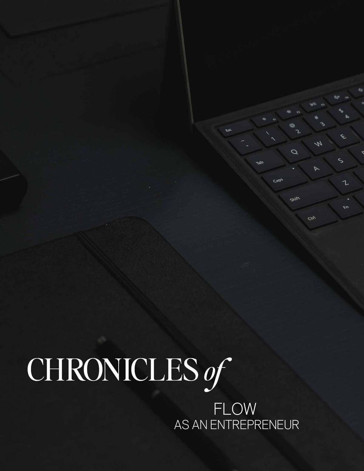 chronicles of flow as an entrepreneur