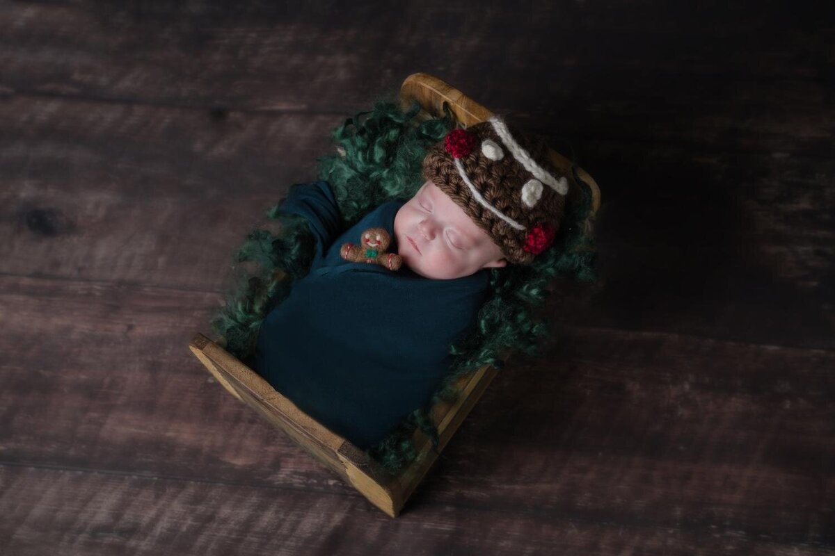 gingerbread newborn boy photos