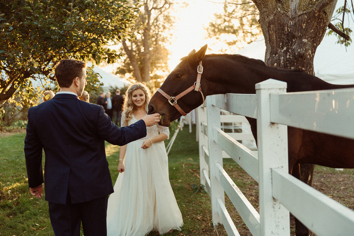 bride and groom feed a horse with the sun setting behind them at John Joseph Inn