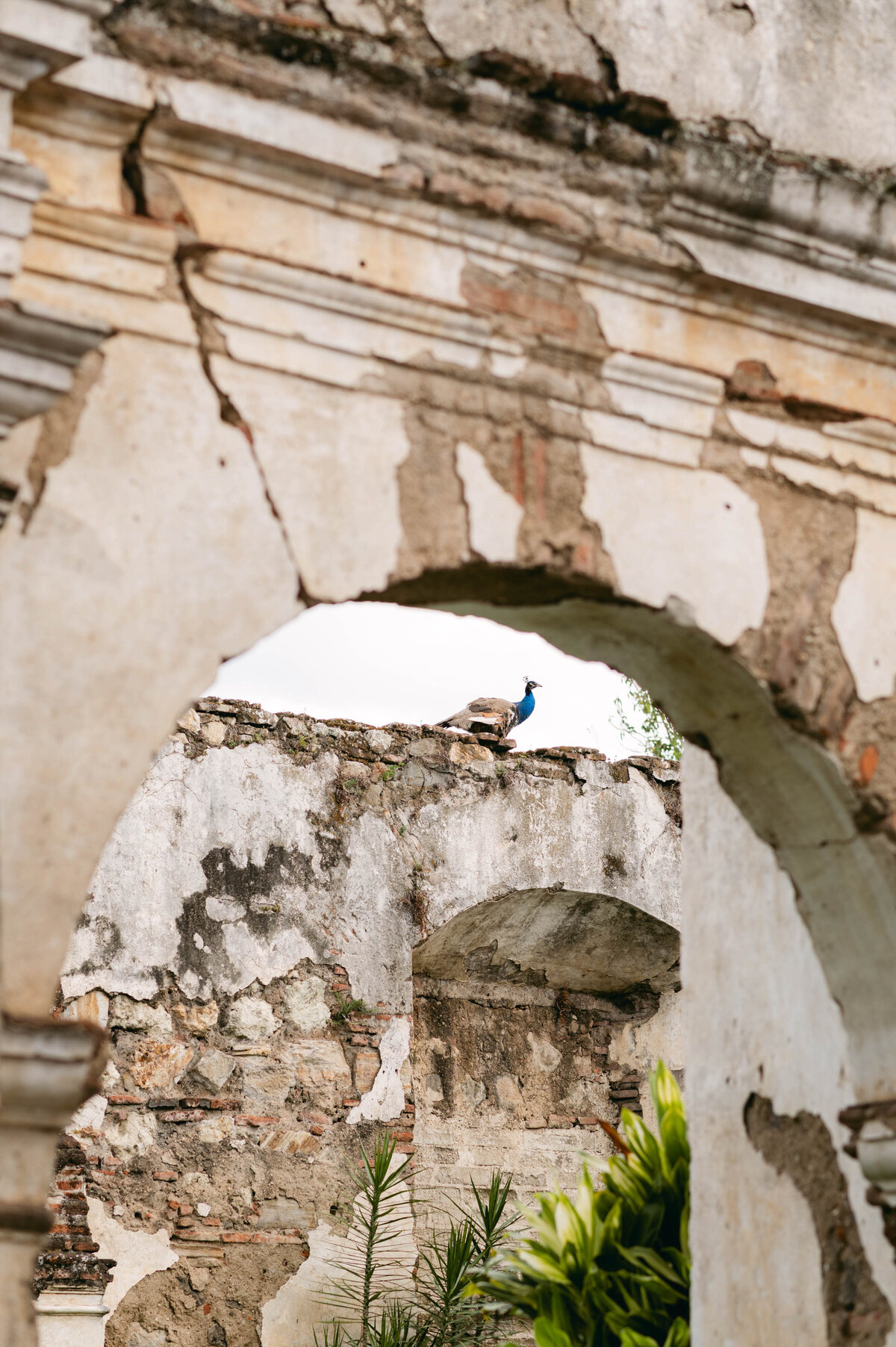 515-Villa-Bokeh-Antigua-Guatemala-Kemberly-Ankeet-Wedding-50