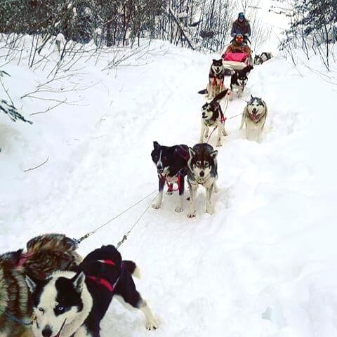 IMG_20180212_184856_783