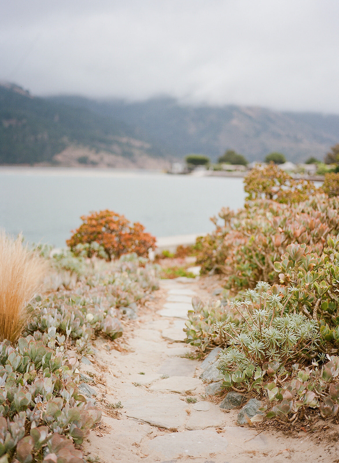 stinson-beach-backyard-wedding-planning-and-design-jacinda-weddings-and-events-10