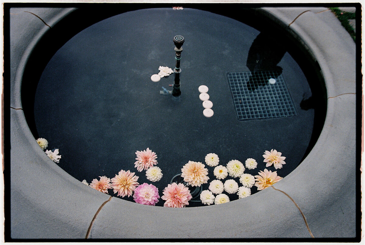 piperwill-details-17