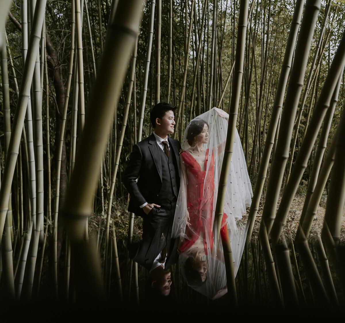 a Singaporean couple pose in the bamboo forest during their prewedding shoot in South Korea