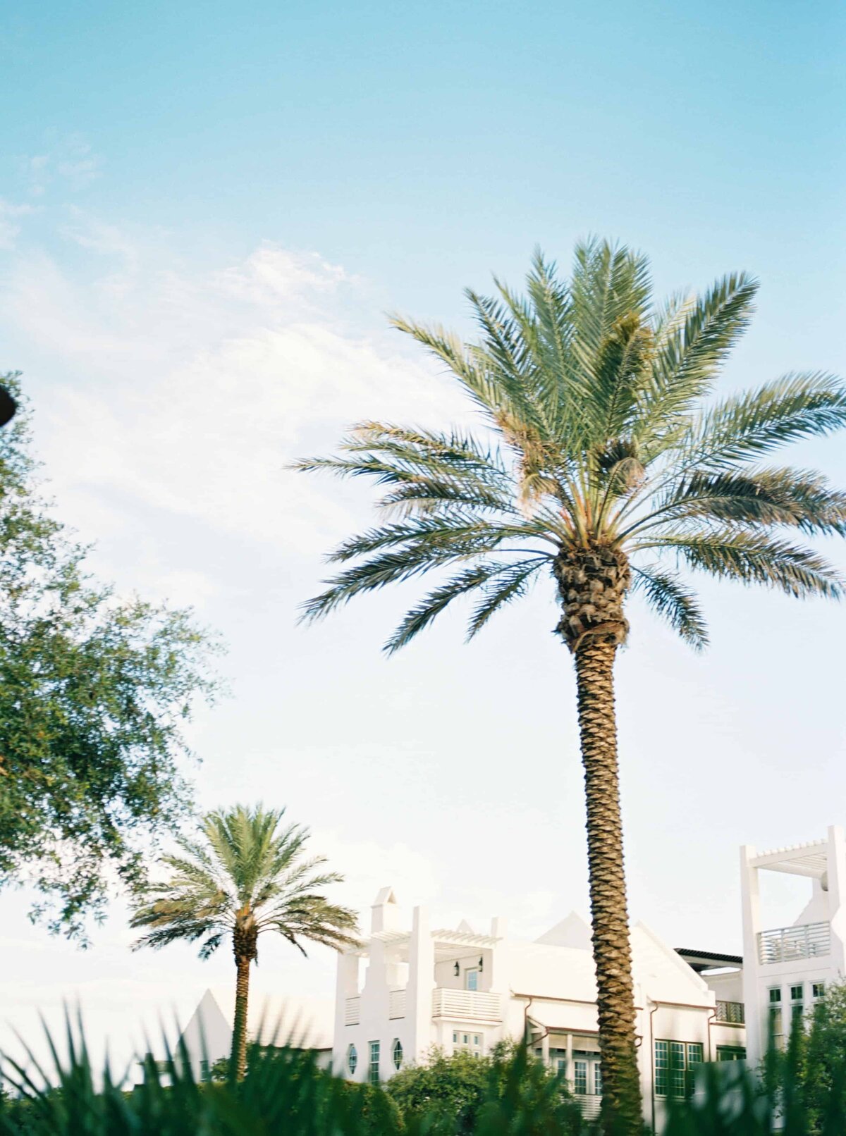 30a_Family_Photographer-6