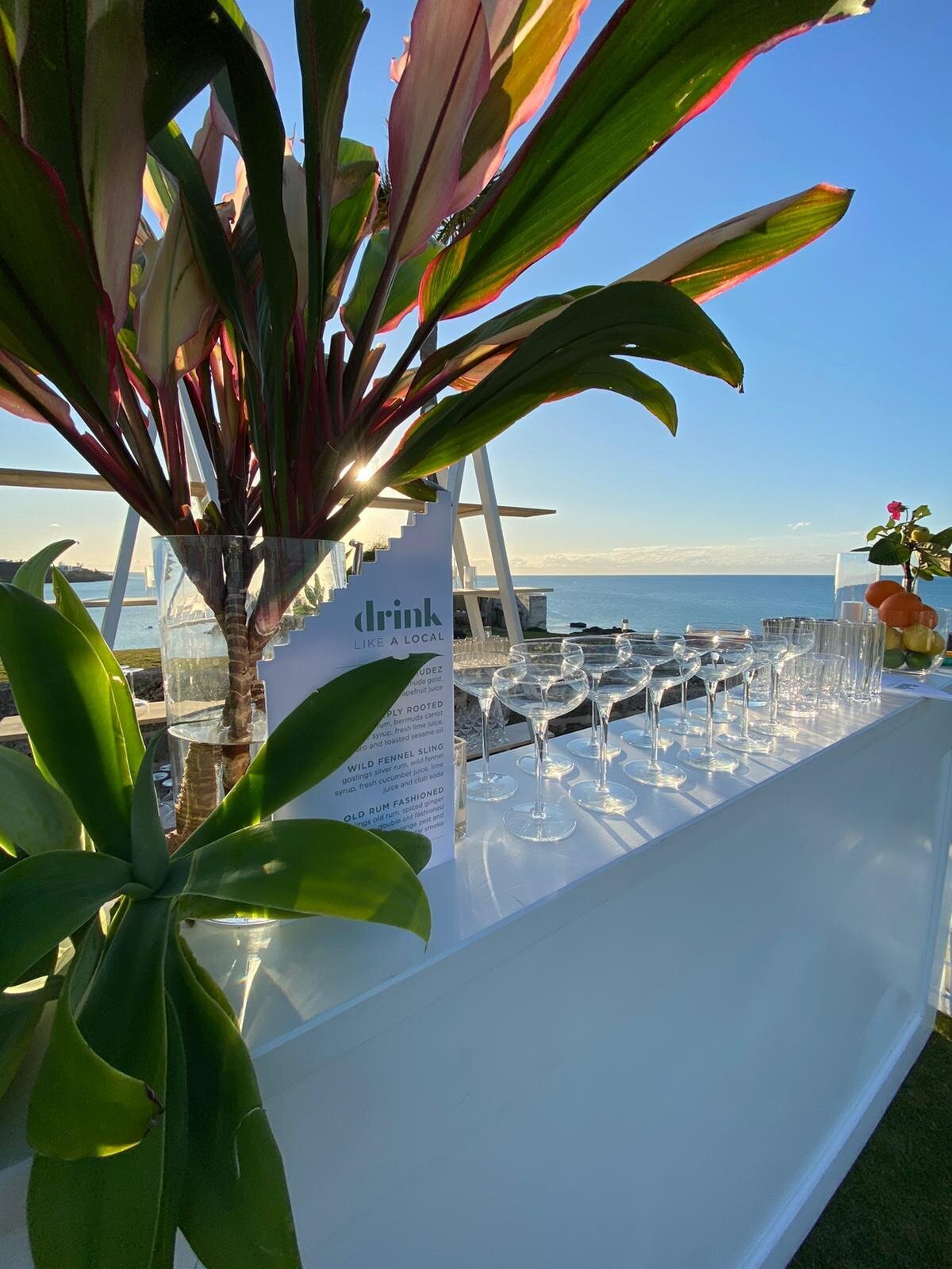 Travel-and-Leisure-Dinner-Reception-Bermuda-8