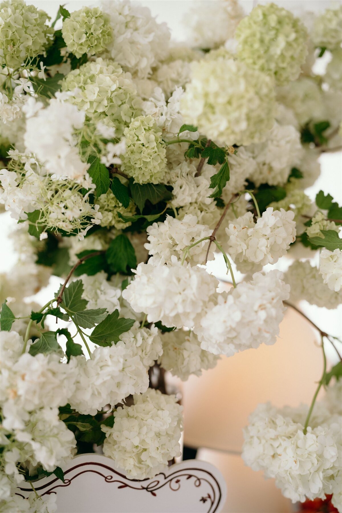 9. Rose & Brent Wedding-3