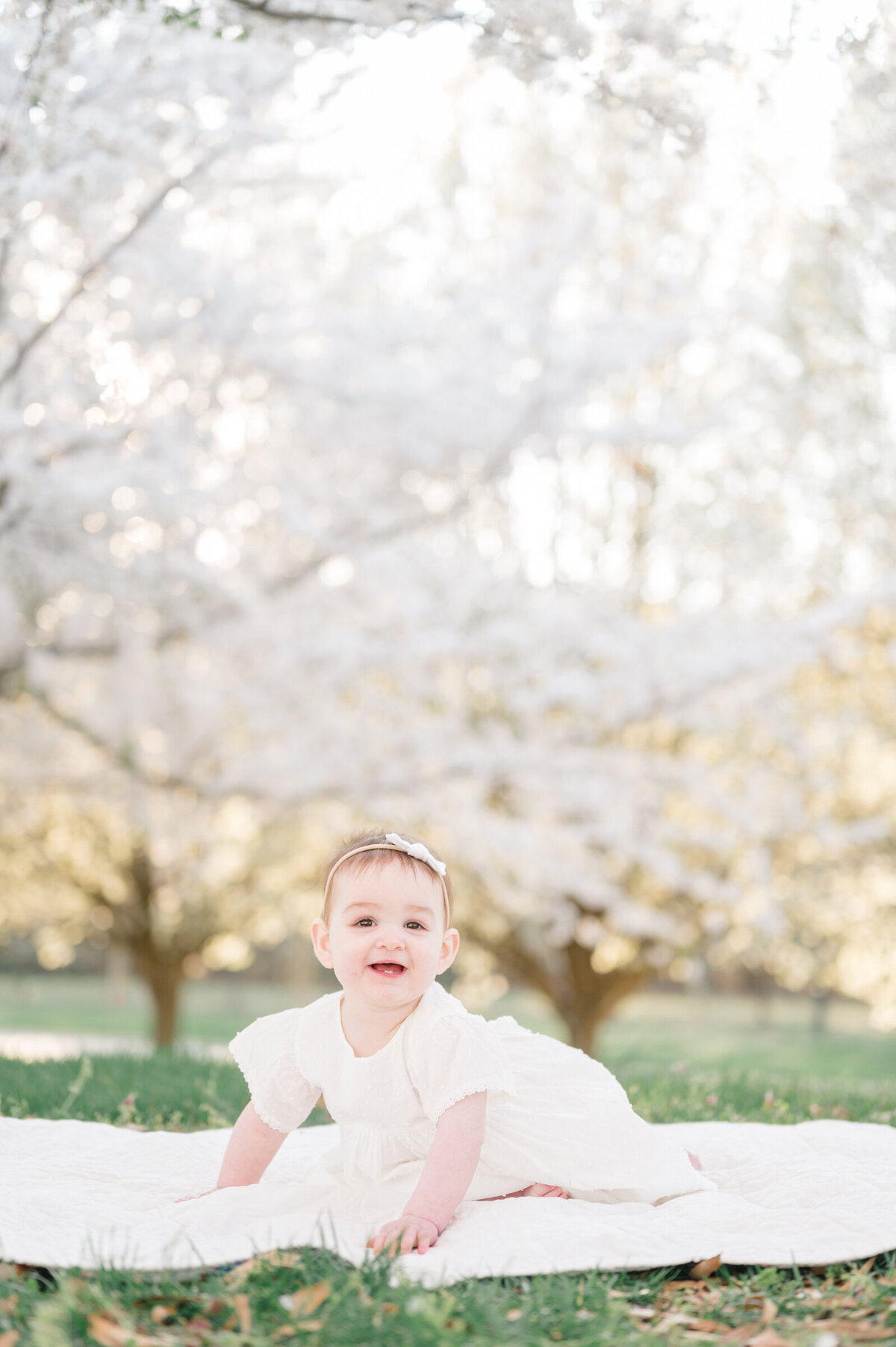 one-year-milestone-cherry-blossoms-3