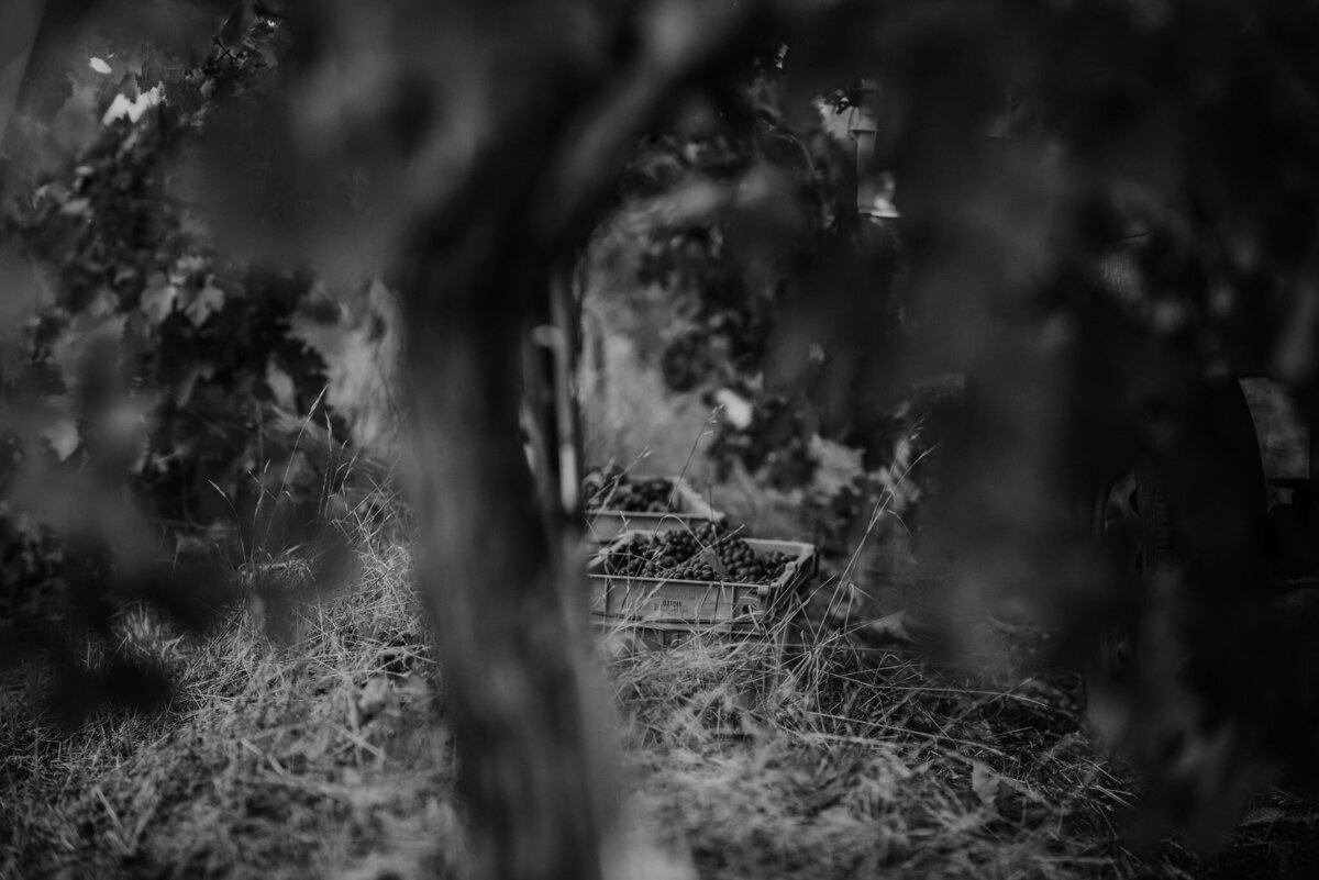 windows-estate-yallingup-margaret-river-freedom-garvey-photographer-008