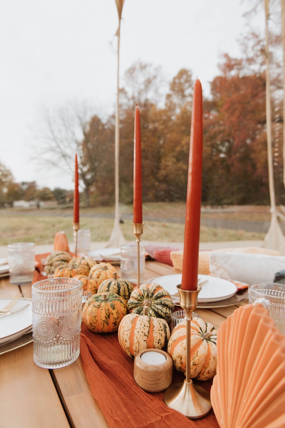 cherry-hill-fall-picnic-02